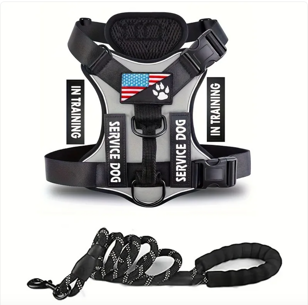 Adjustable Nylon Dog Harness & Leash Set