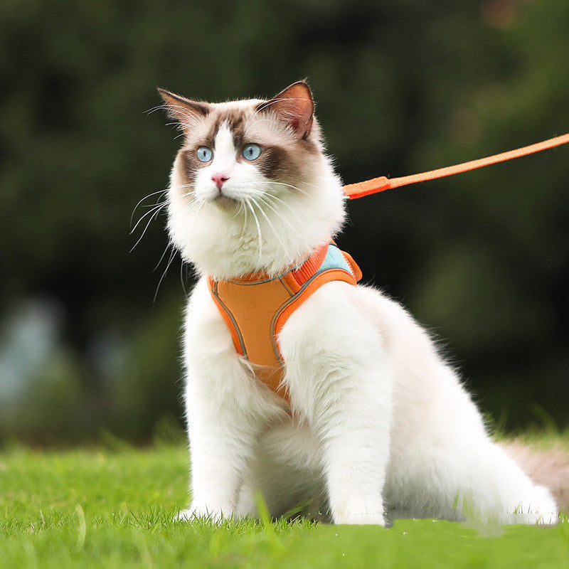 Adjustable Reflective Cat Vest Harness