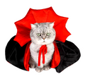 Halloween Vampire Cape for Dogs & Cats
