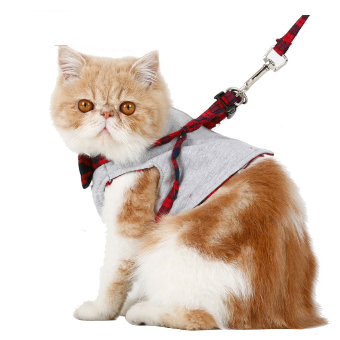 Red Mesh Cat Harness & Leash