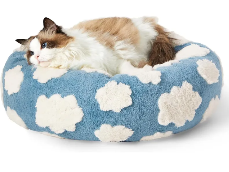 Lesure Bed For Indoor Cats - Sky Blue