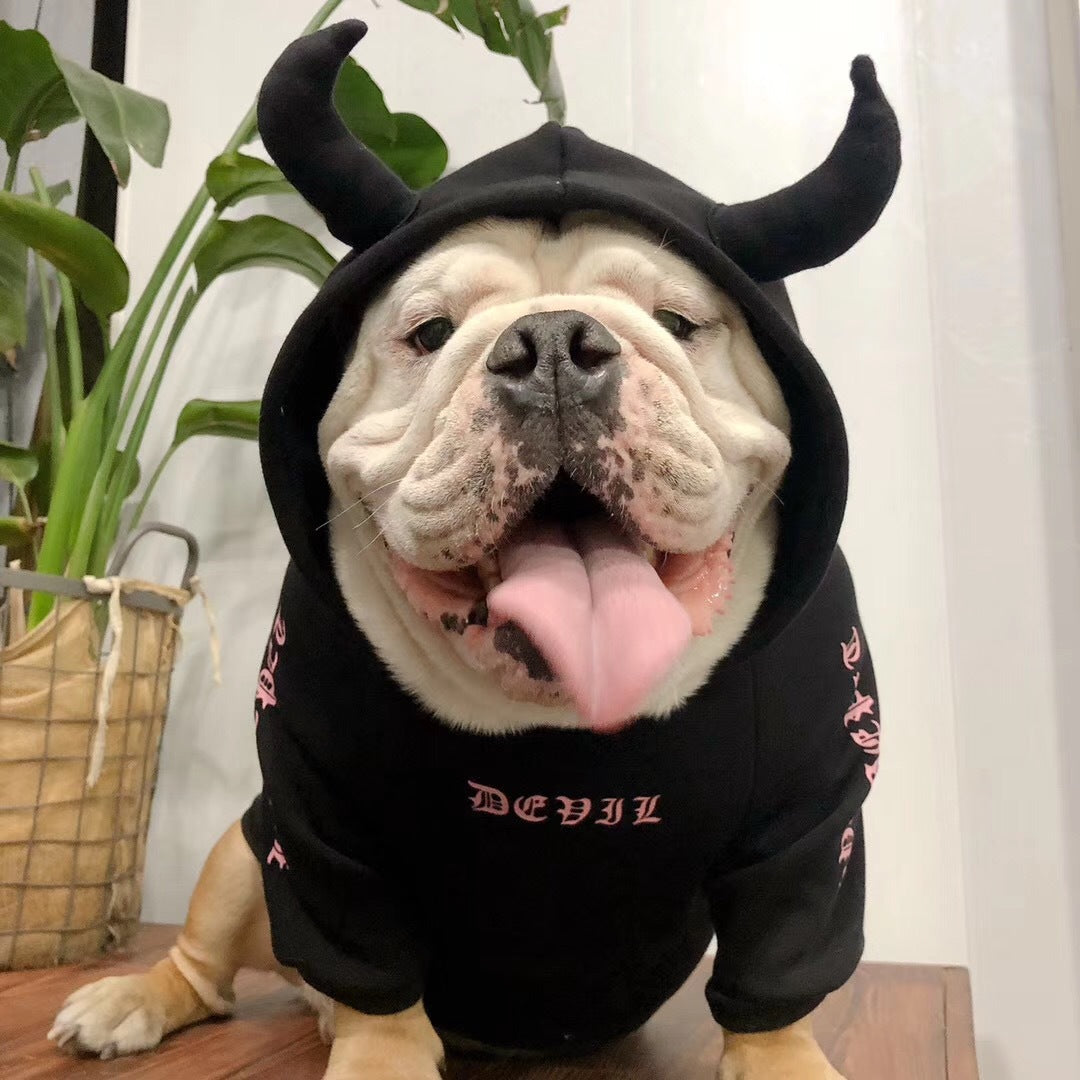 Halloween Fleece-Lined Hoodie for Dogs & Cats