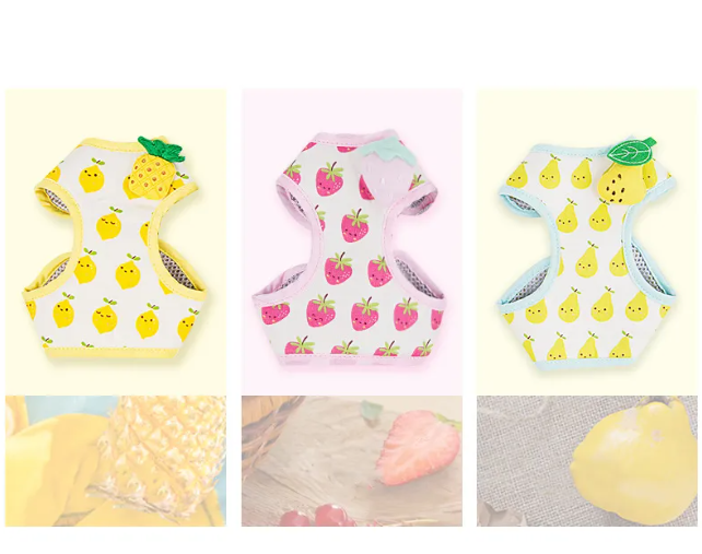 Fruit-Pattern Cat Harness