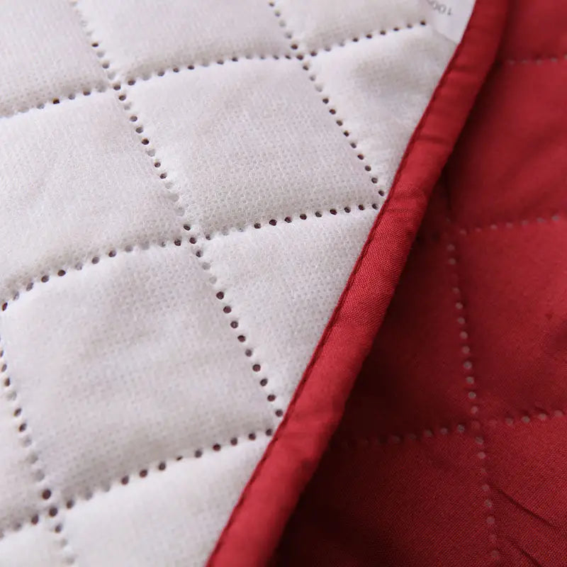 Reversible Water-Resistant Pet Sofa Slipcover with Straps