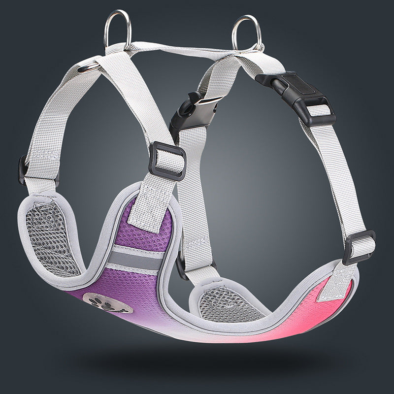 Gradient Reflective Harness for Small Dogs