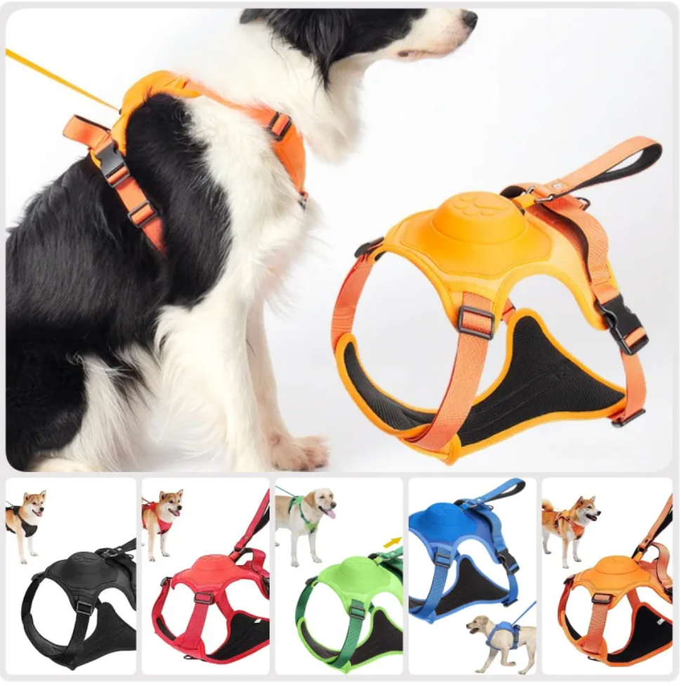 Dog Harness with Retractable Leash