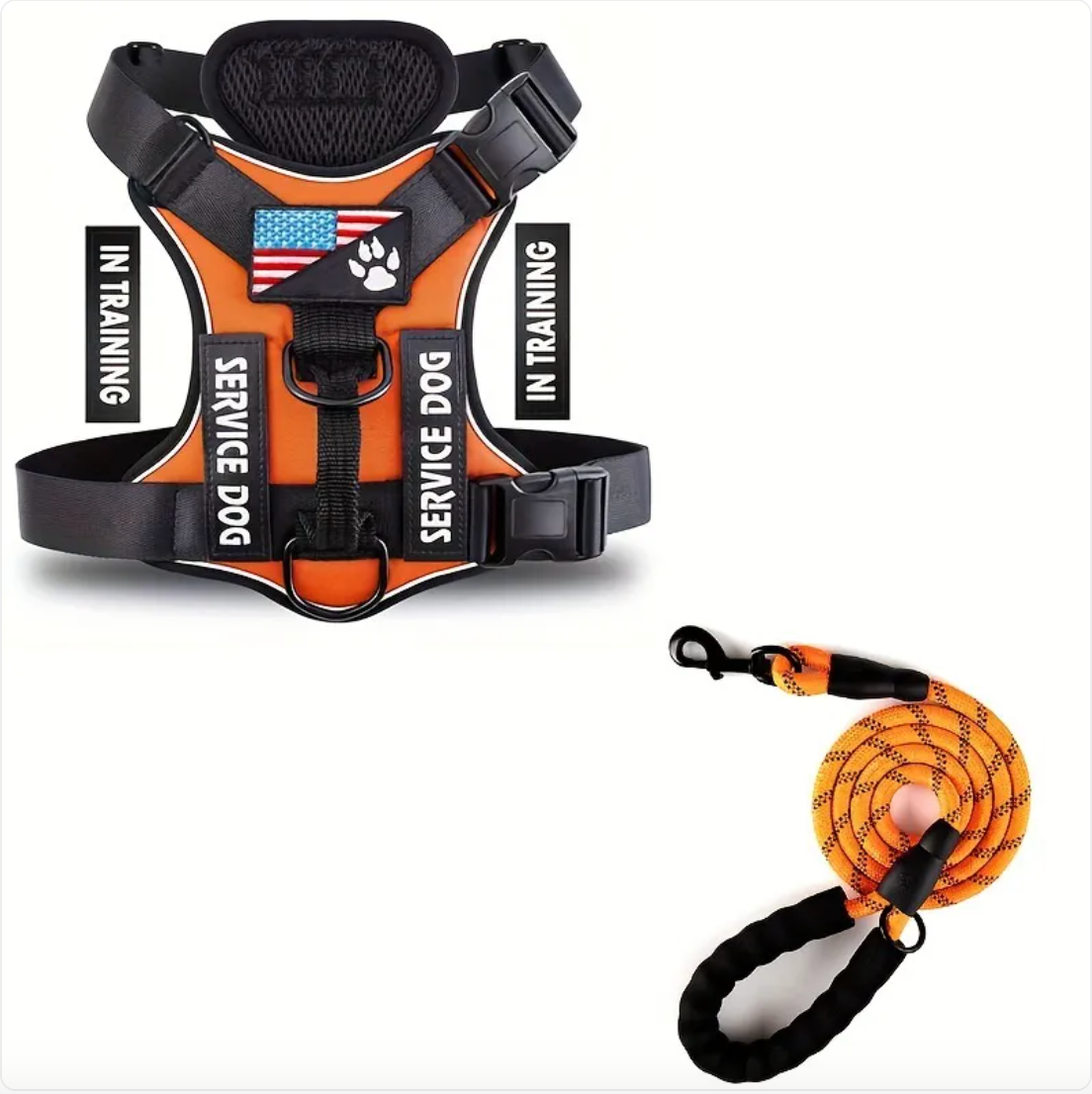 Adjustable Nylon Dog Harness & Leash Set
