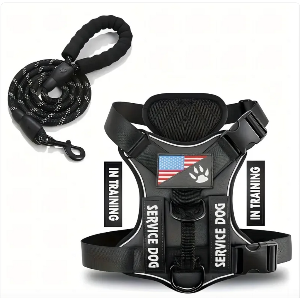 Adjustable Nylon Dog Harness & Leash Set