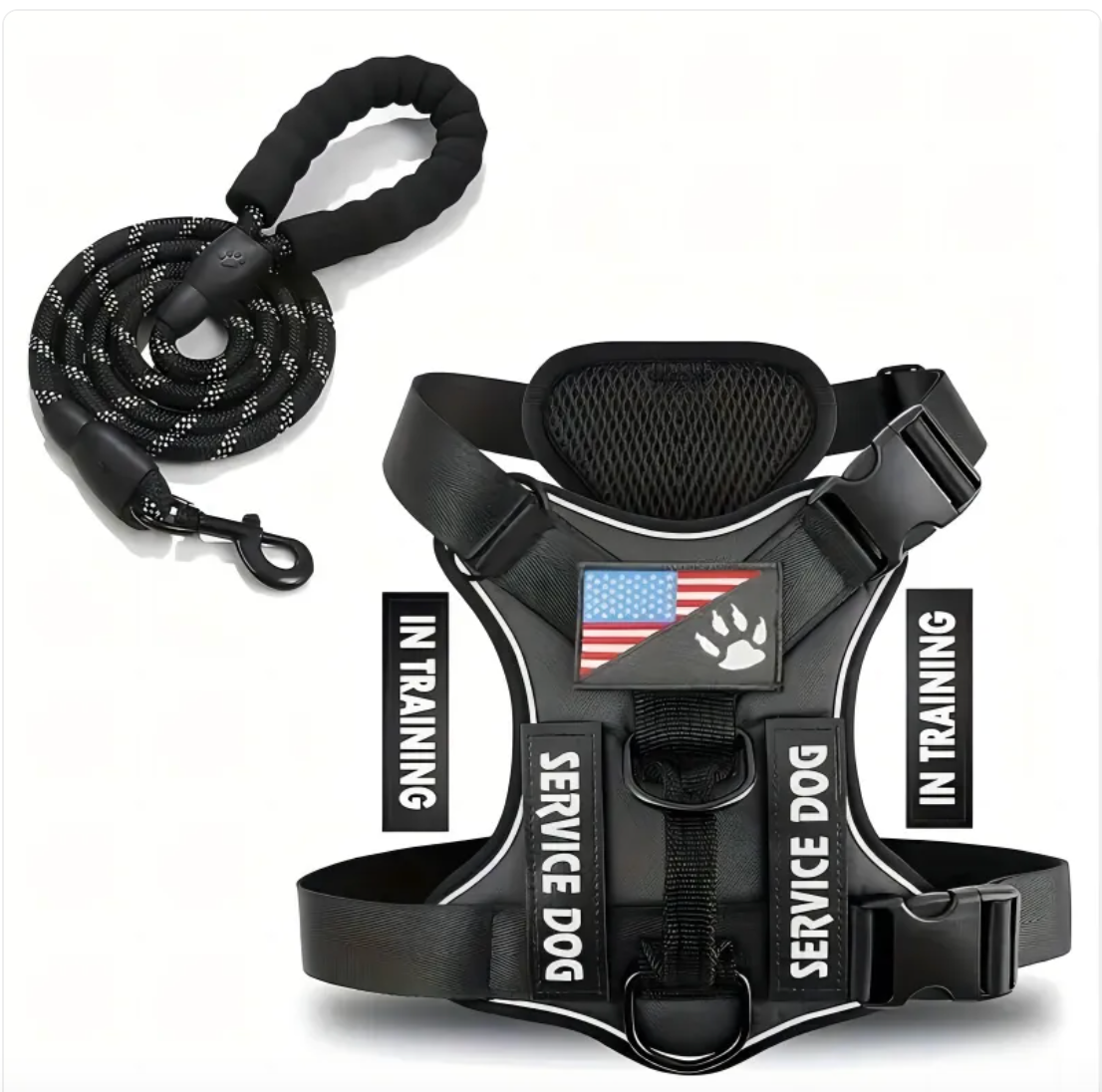 Adjustable Nylon Dog Harness & Leash Set