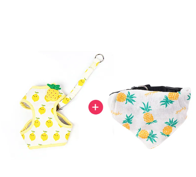 Fruit-Pattern Cat Harness