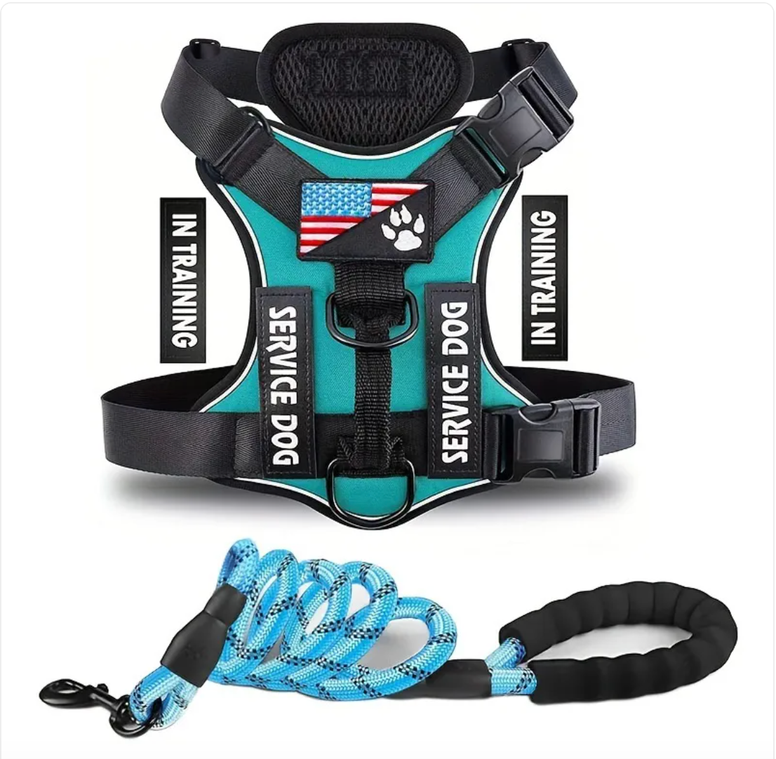 Adjustable Nylon Dog Harness & Leash Set