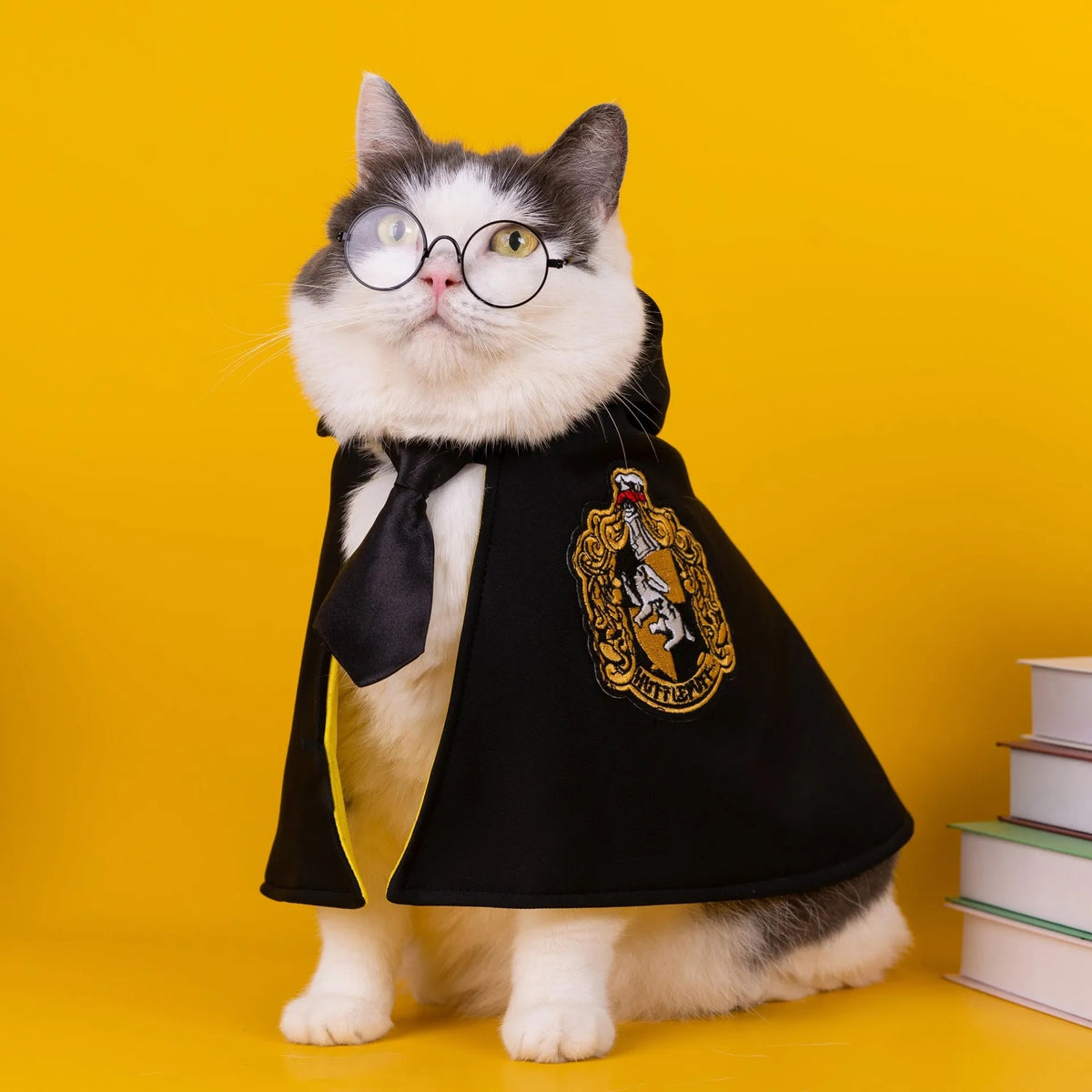 Halloween Magic Cape for Dogs & Cats