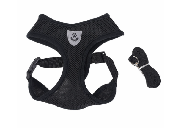 Soft Mesh Cat Harness with 120 cm Leash