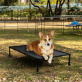 Veehoo Durable Elevated Dog Cot & Training Platform for Small and Medium Dogs