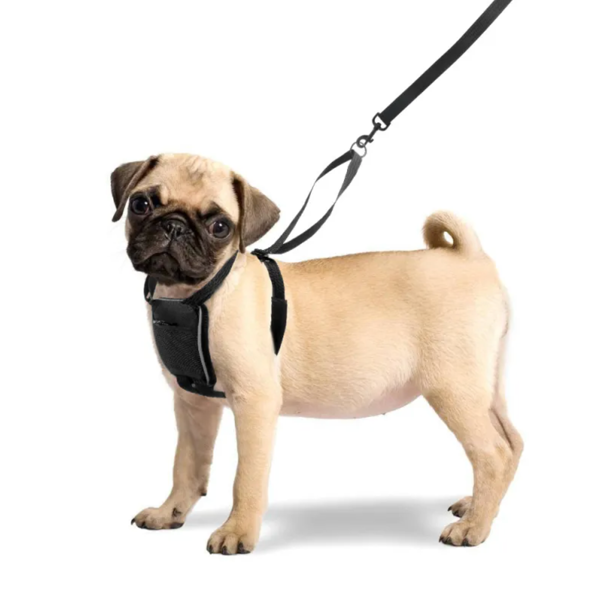Reflective Front-Clip Dog Harness