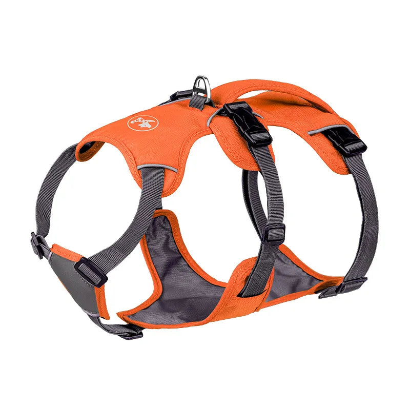 Nylon Dog Vest Harness with Matching Leash