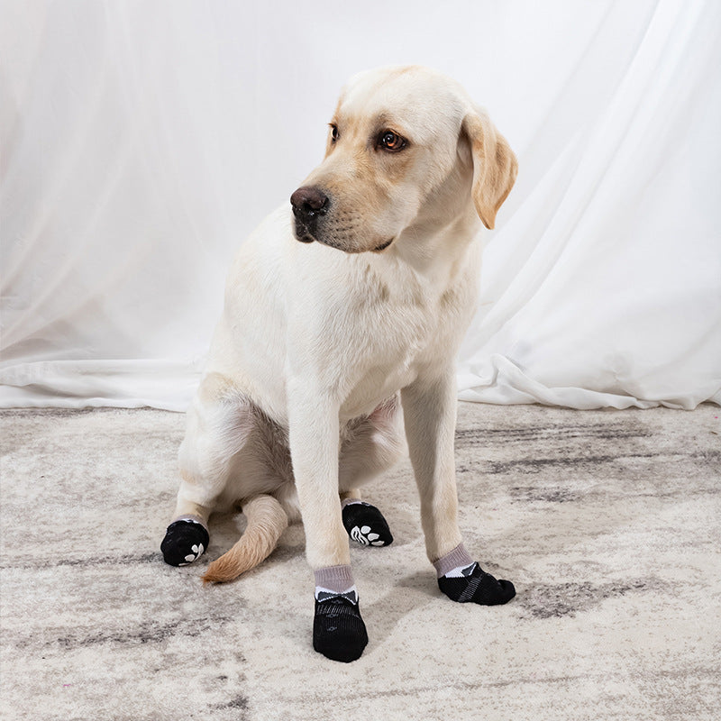 Halloween Dog Socks – Boxed Set