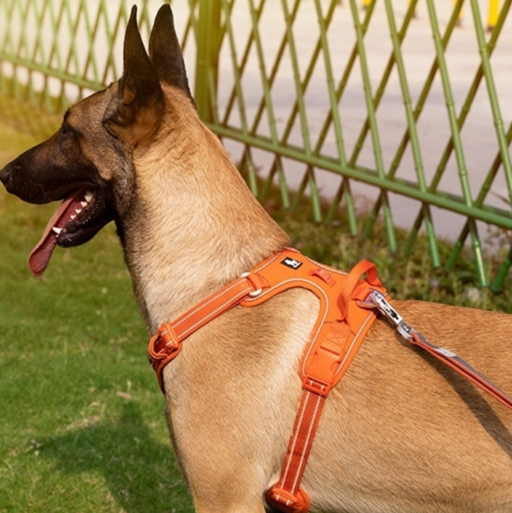 Padded Wraparound Reflective Dog Harness