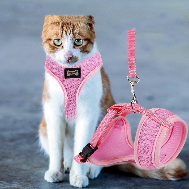 Soft Mesh Cat Harness with 120 cm Leash