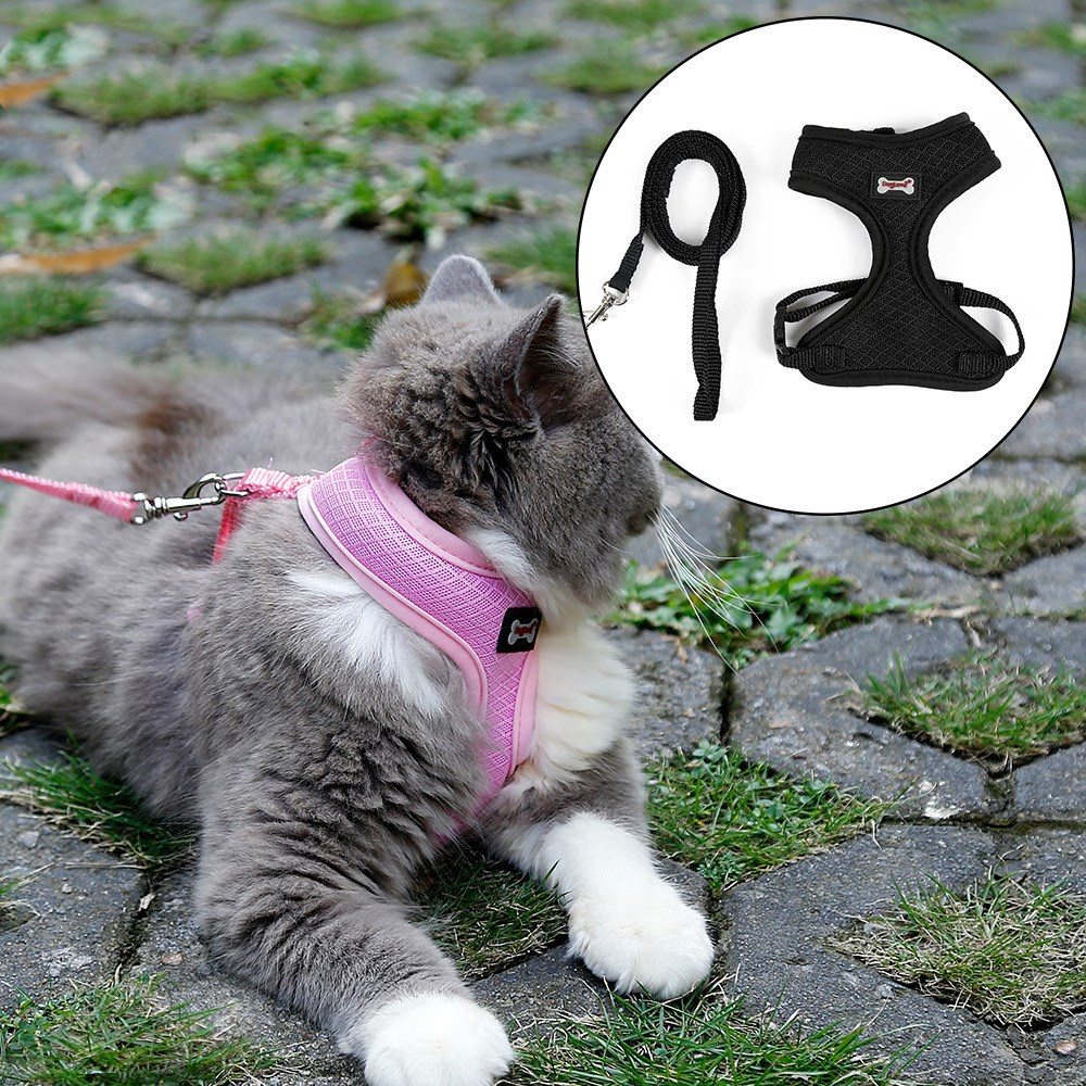 Soft Mesh Cat Harness with 120 cm Leash