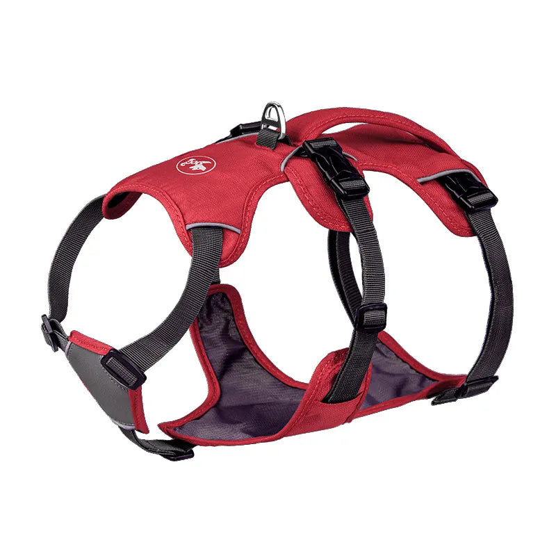 Nylon Dog Vest Harness with Matching Leash