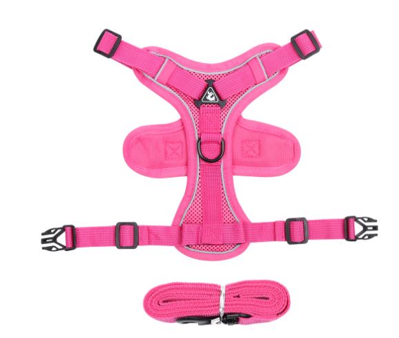 Reflective Cat Harness & Leash Set