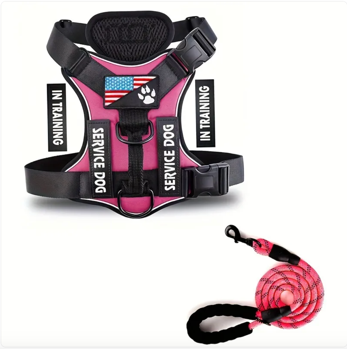 Adjustable Nylon Dog Harness & Leash Set