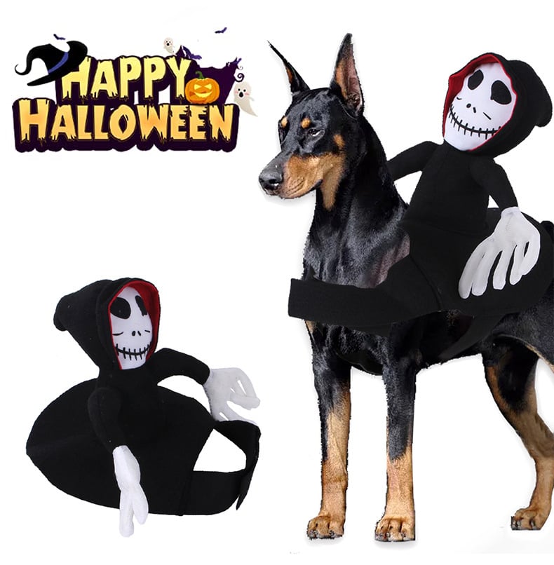Halloween Spider & Pumpkin Pet Vest