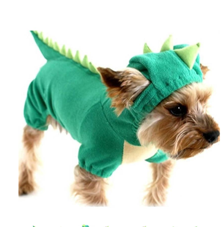 Halloween Dinosaur Costume for Small Dogs – Teal Green