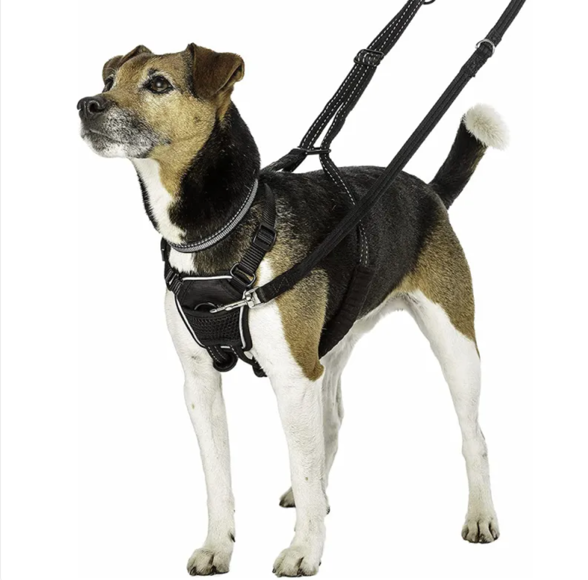 Reflective Front-Clip Dog Harness