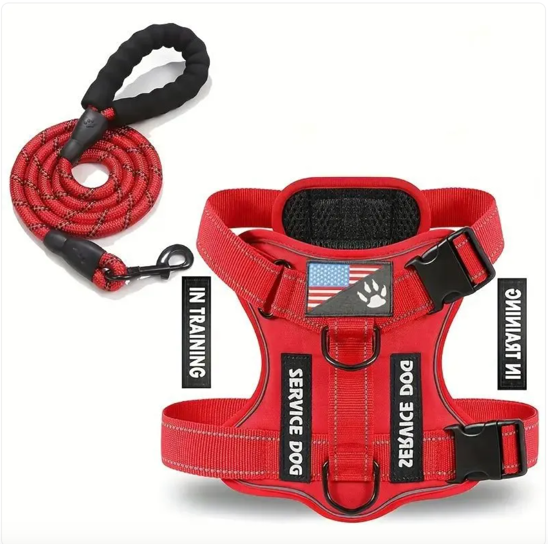Adjustable Nylon Dog Harness & Leash Set