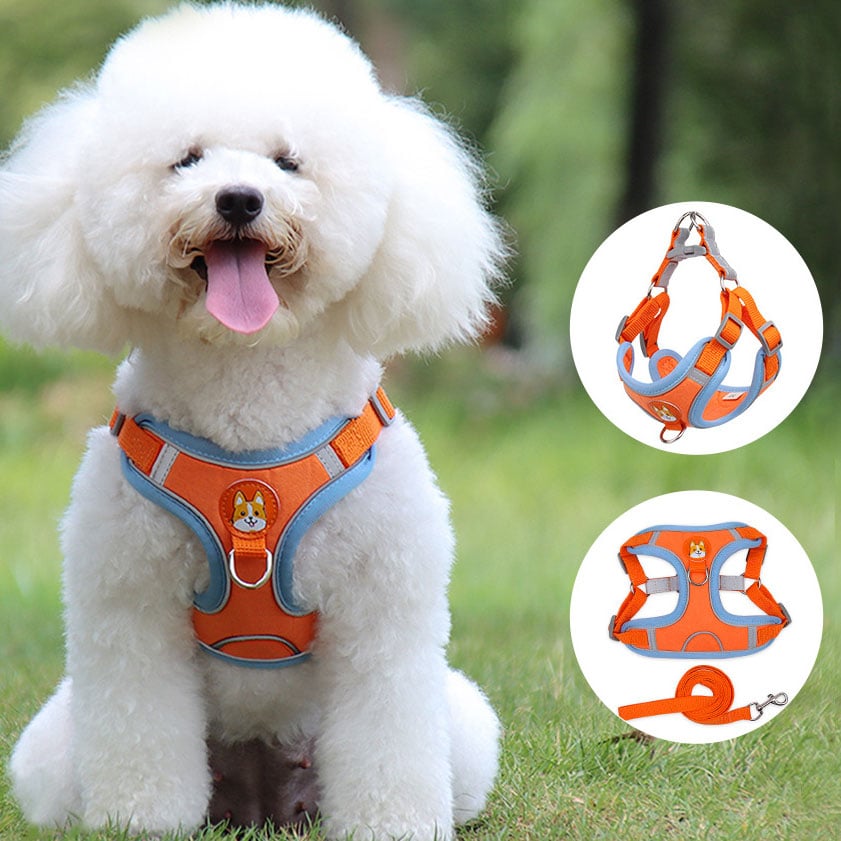 Reflective Soft-Mesh Harness for Dogs & Cats