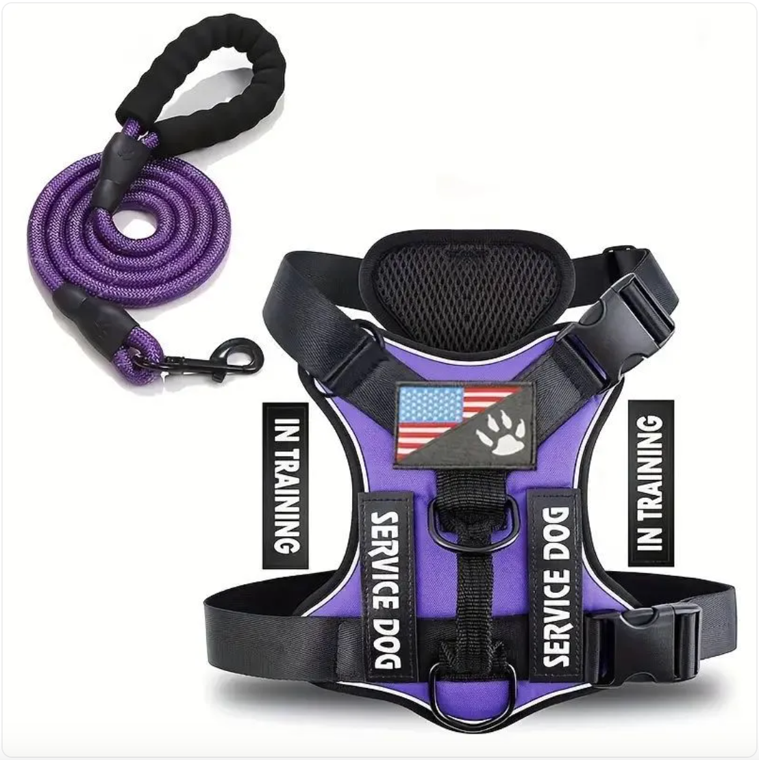 Adjustable Nylon Dog Harness & Leash Set
