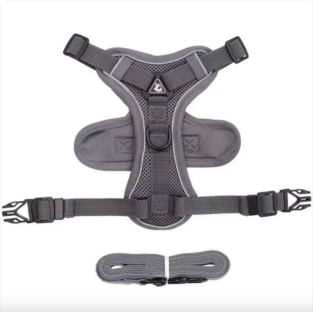 Reflective Everyday Dog Harness
