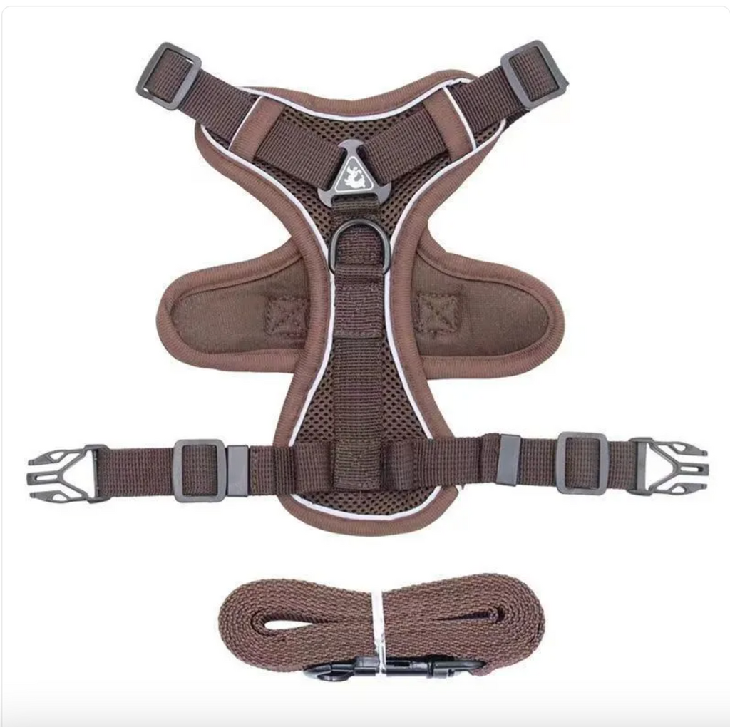 Reflective Everyday Dog Harness