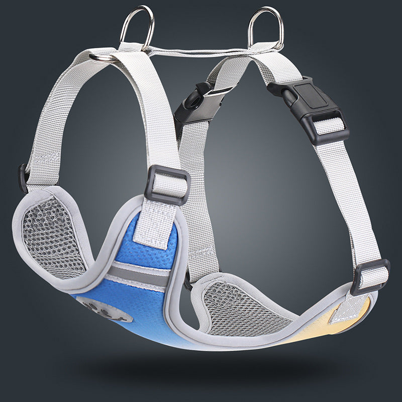 Gradient Reflective Harness for Small Dogs