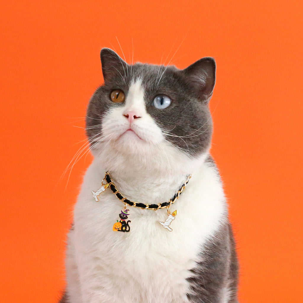 Halloween Velvet Pet Collar – Ghost, Spider & Pumpkin