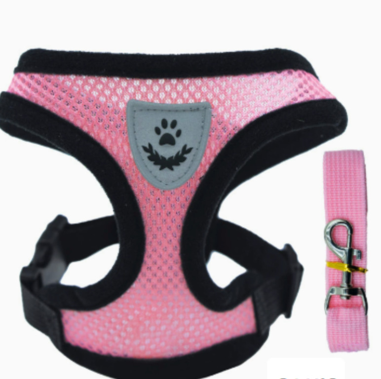 Soft Mesh Cat Harness with 120 cm Leash
