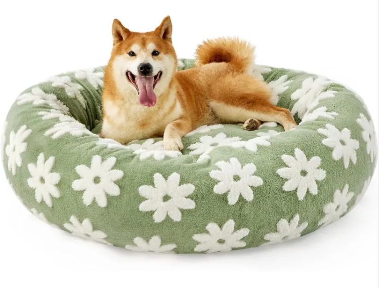 Lesure Bed For Indoor Cats - Sky Blue