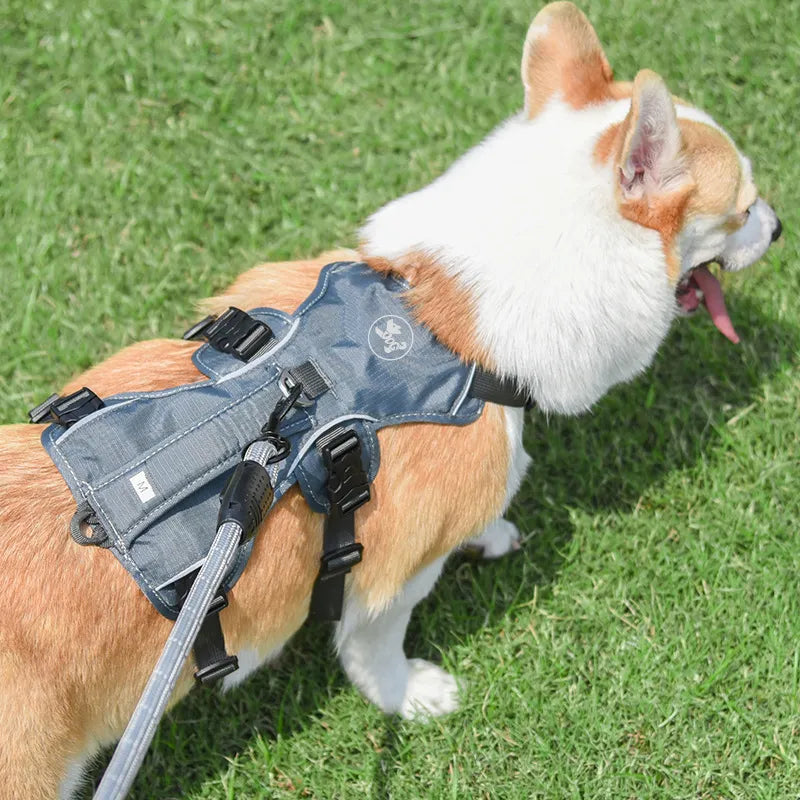 Nylon Dog Vest Harness with Matching Leash