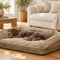 Brown spaniel resting in a brown tweed dog bed in a living room