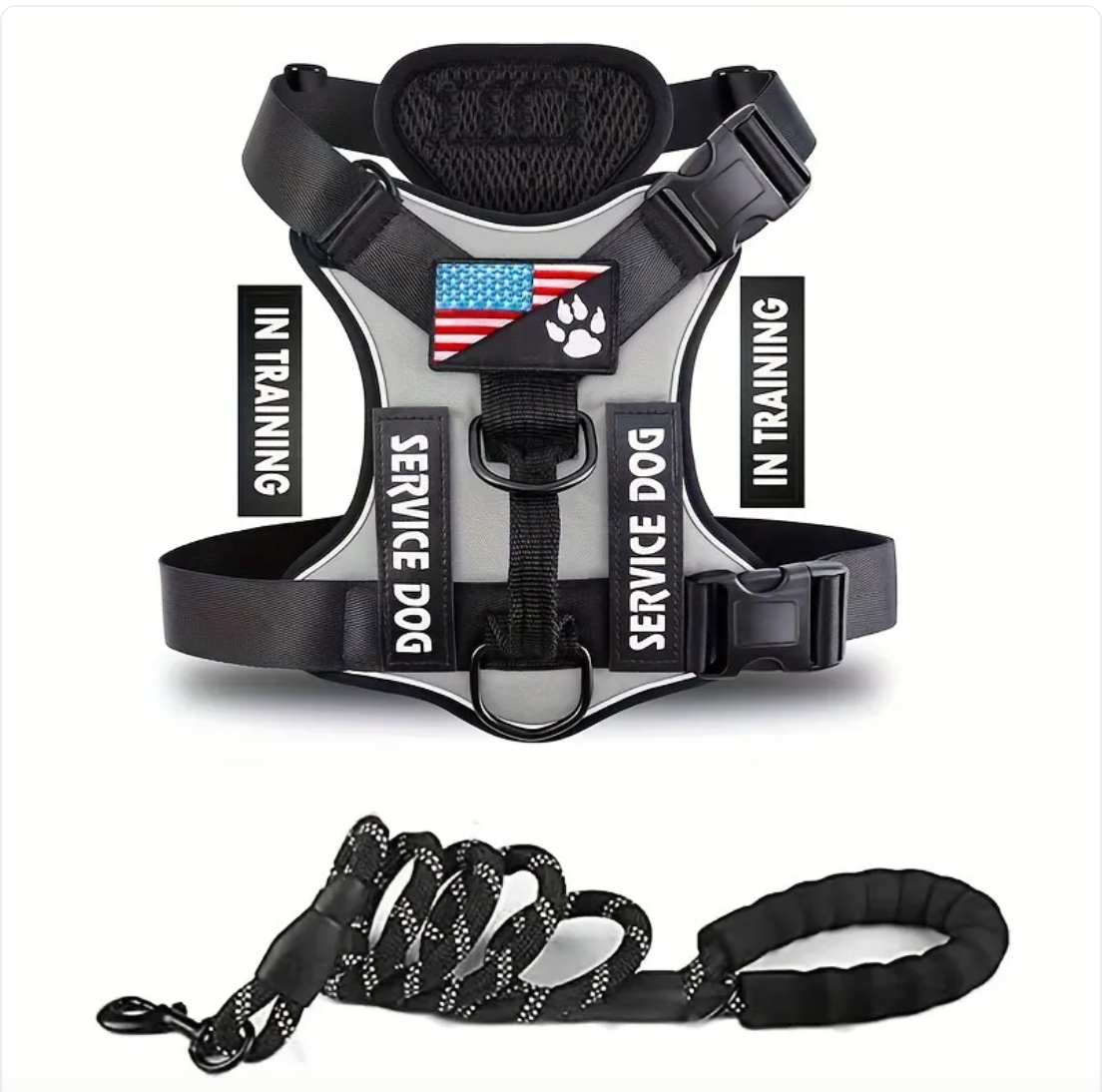 Adjustable Nylon Dog Harness & Leash Set