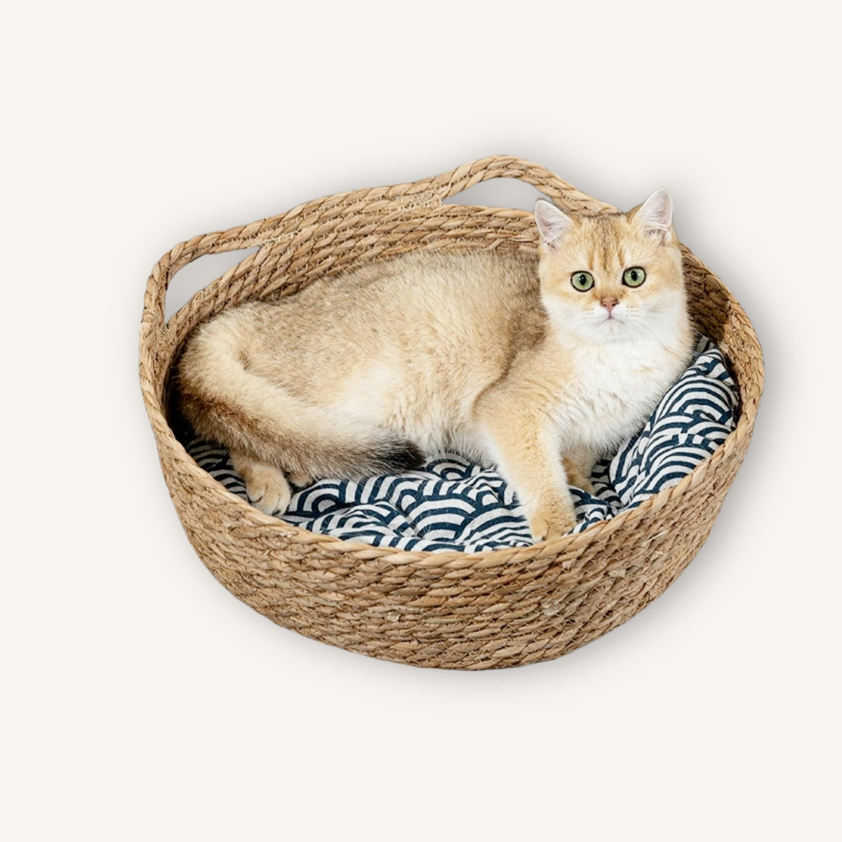 BubuKuku Woven Cat Basket Bed with Cushion – cat resting in the basket