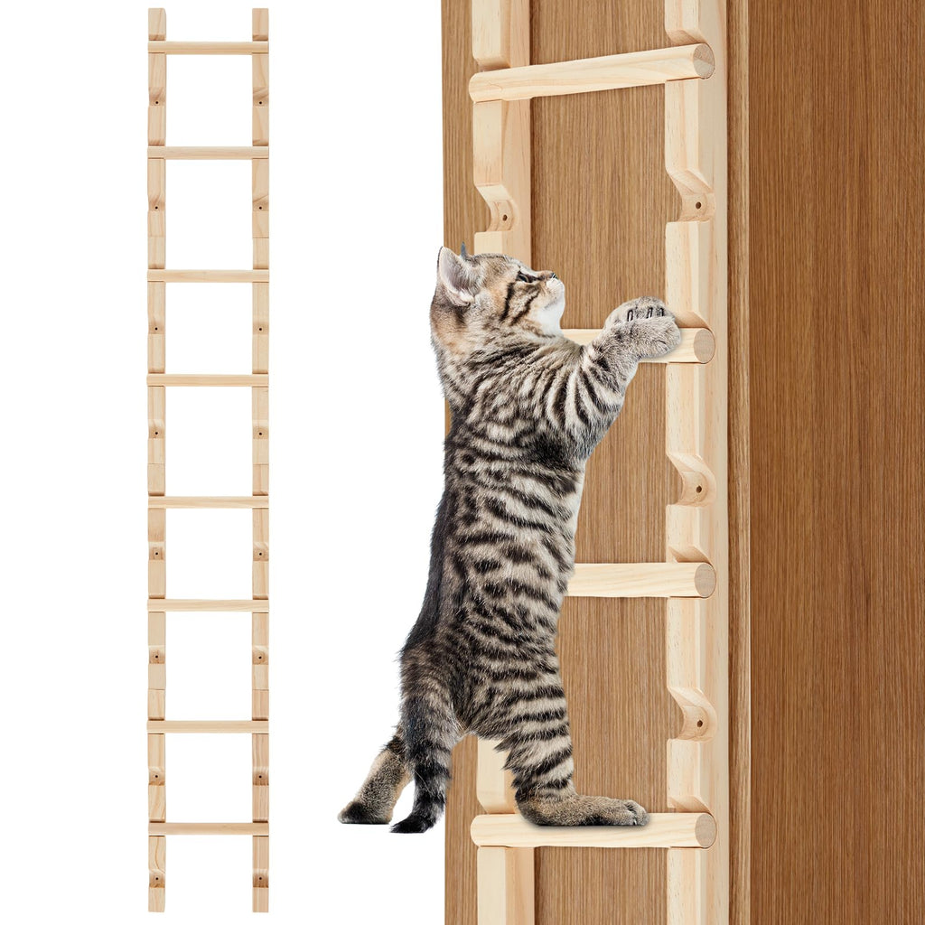 Briwooody Pine Cat Climbing Ladder – 4 Sections – cat using the product