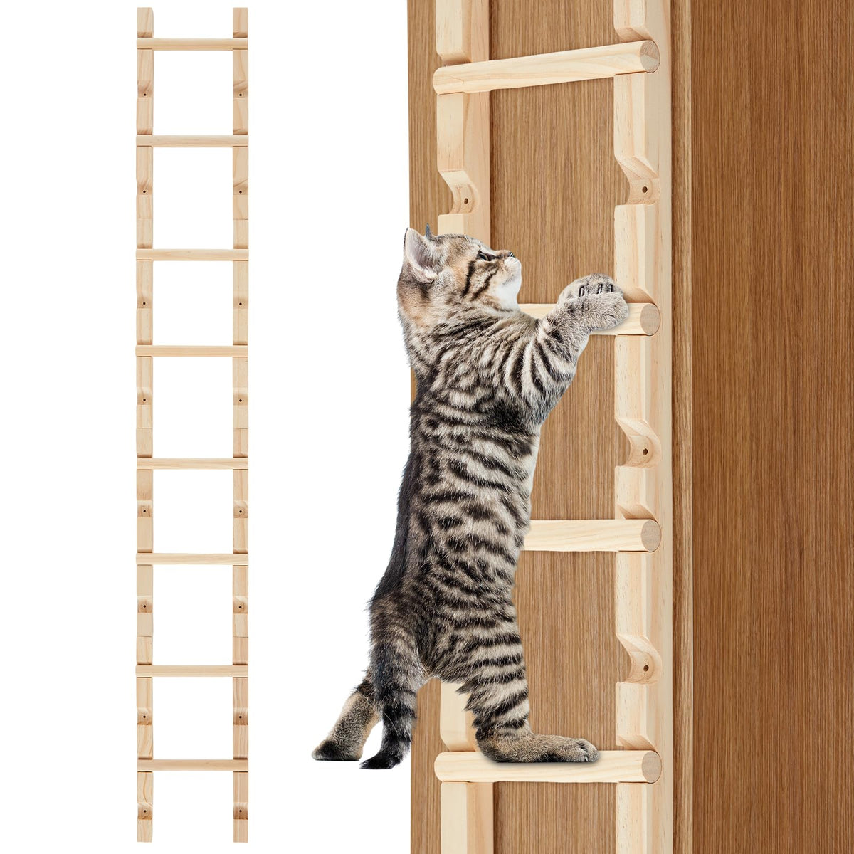 Briwooody Pine Cat Climbing Ladder – 4 Sections – cat using the product