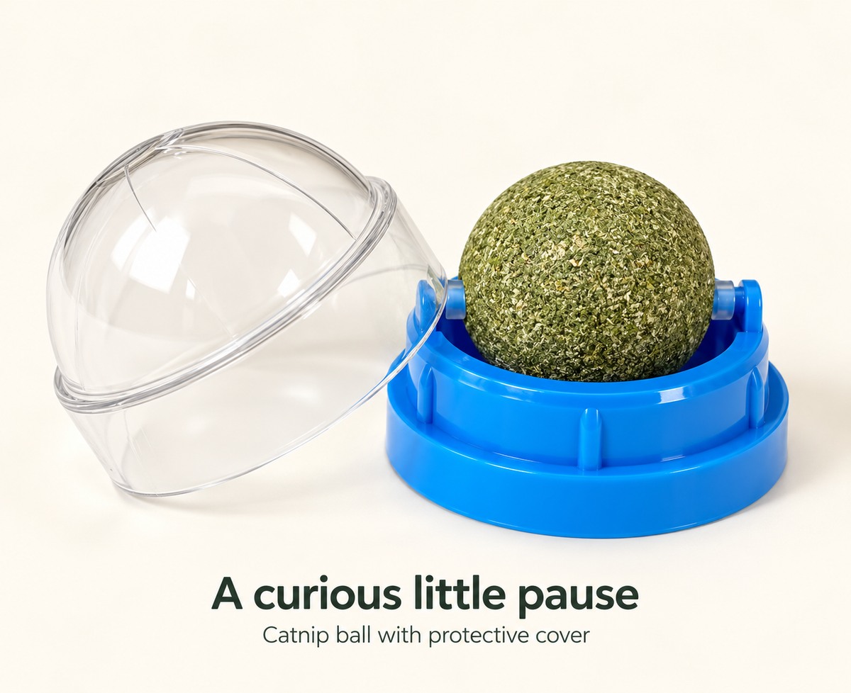 Blue catnip ball holder and clear protective cover