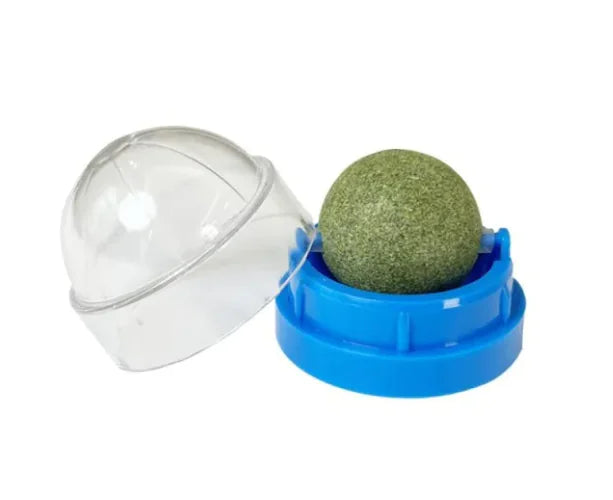 Blue catnip ball holder with clear protective cover on white background