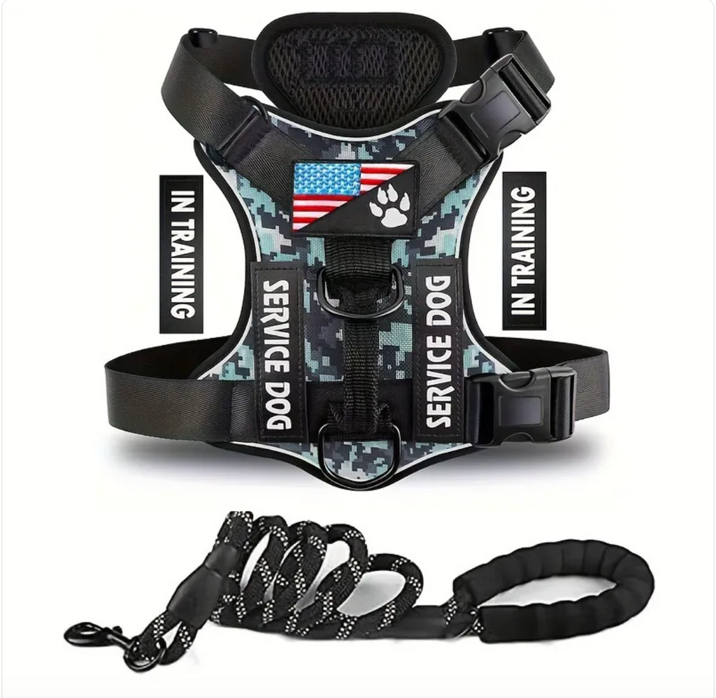 Adjustable Nylon Dog Harness & Leash Set