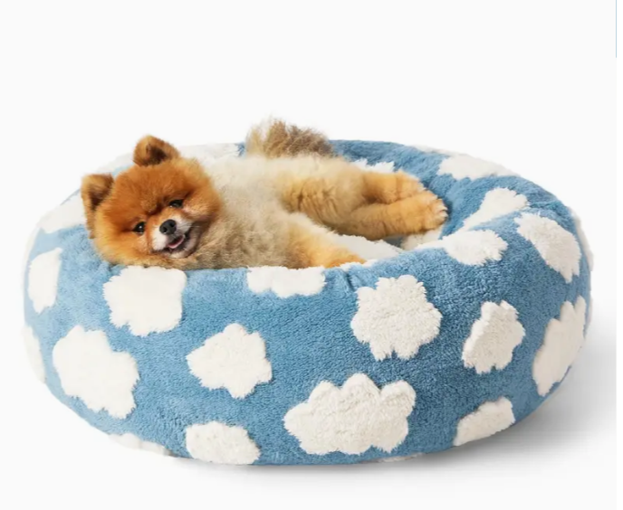 Lesure Bed For Indoor Cats - Sky Blue