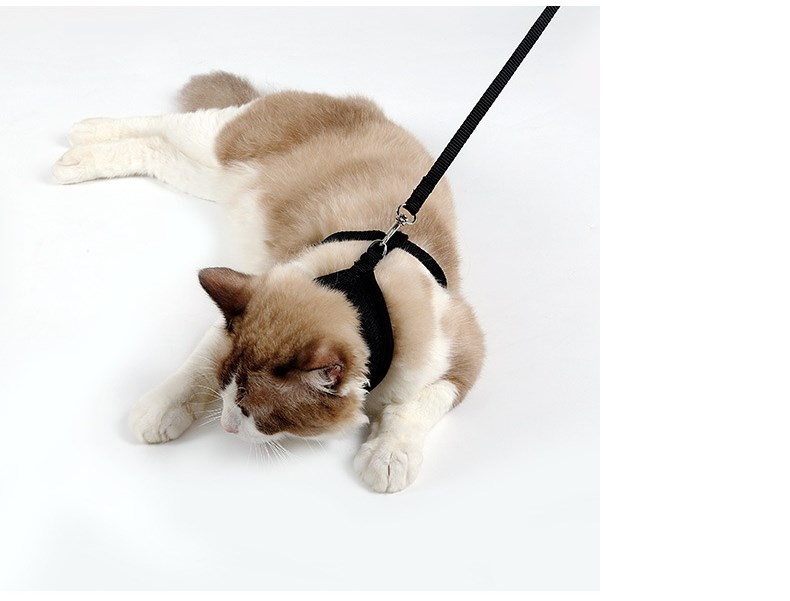 Soft Mesh Cat Harness with 120 cm Leash